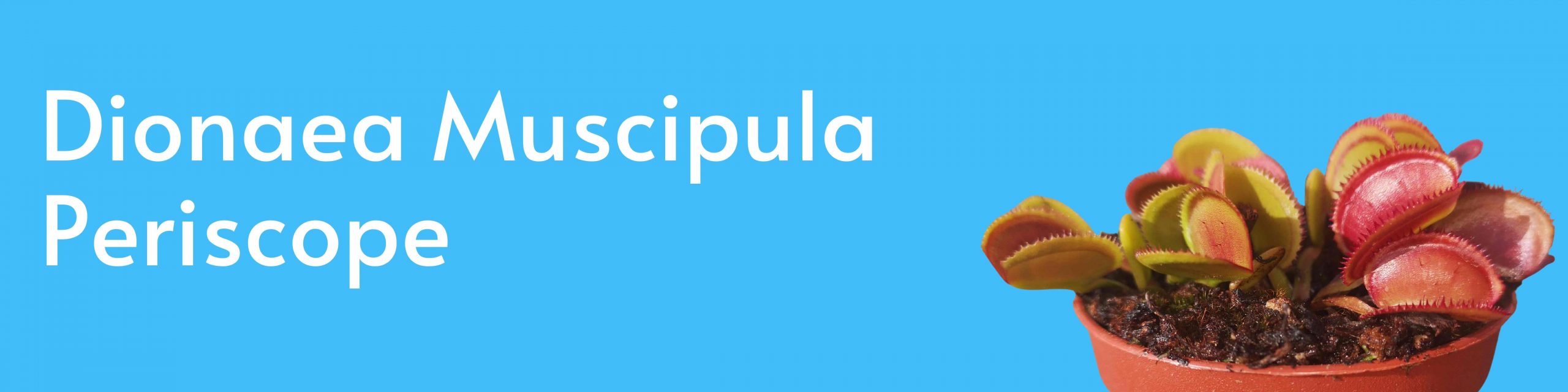 dionaea Muscipula Periscope