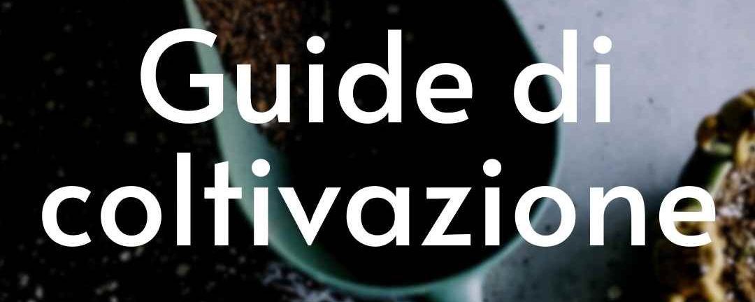 guide coltivazione