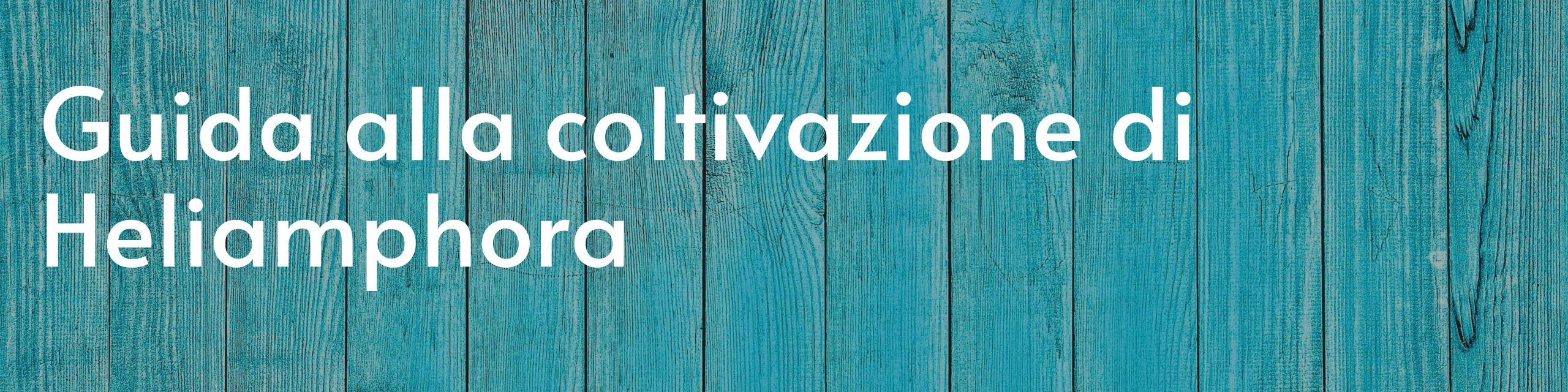 Guida alla coltivazione di Heliamphora