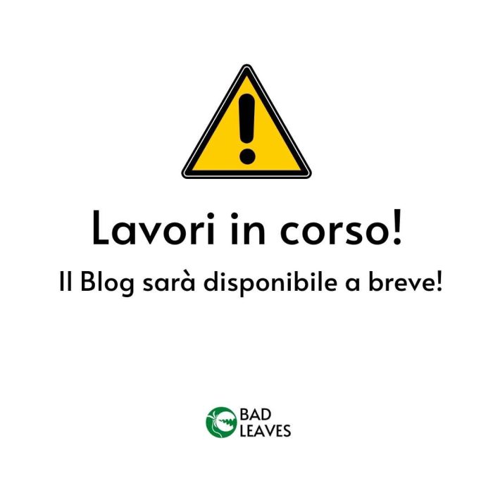 Lavori in corso!